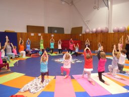 den_s_jogou_v_ostrave_2017_9