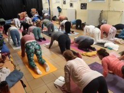 jogova_terapie_2023-24_program_s_karlem_nesporem_1